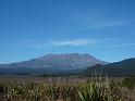 New_Zealand (836)